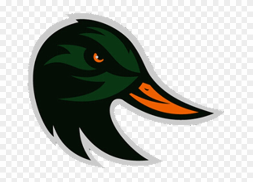 Duck Clipart Profile - Mallard - Png Download