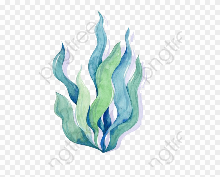 Watercolor Algae - Dibujos De Algas Verde Azules Clipart