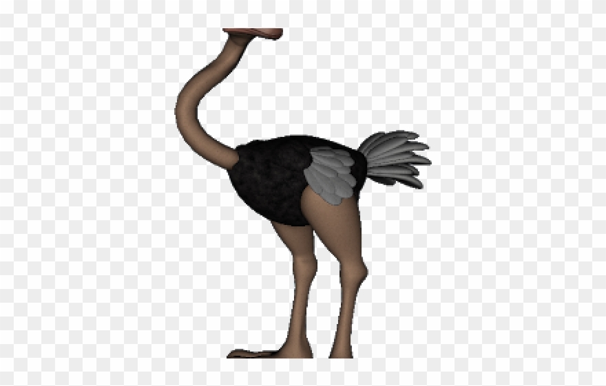 Ostrich Clipart