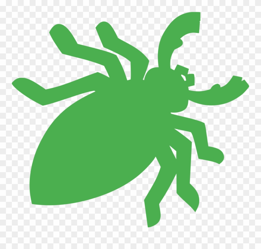 Download Png - Insect Clipart