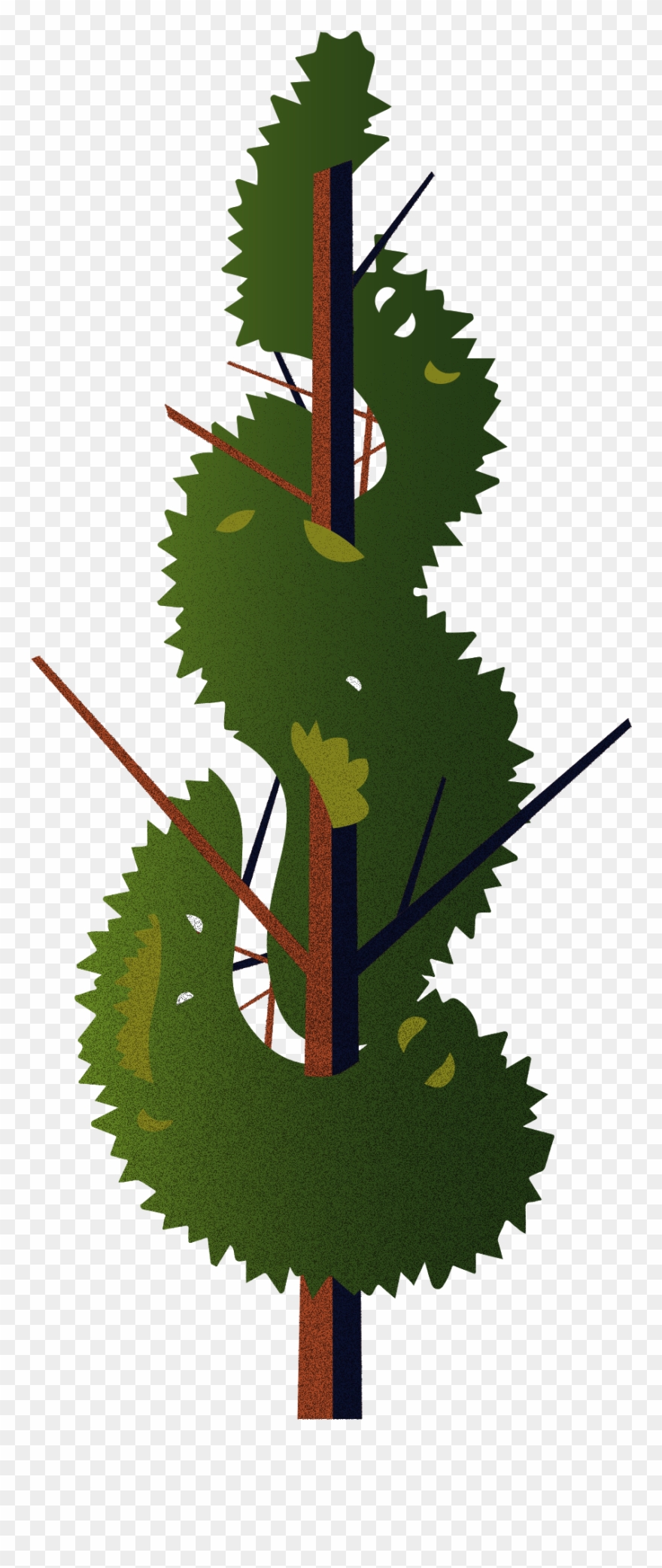 Vector Trees & Exterior Plants - Cup Of Excellence 2017 Clipart