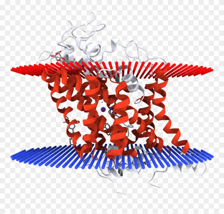 4xpb - Illustration Clipart