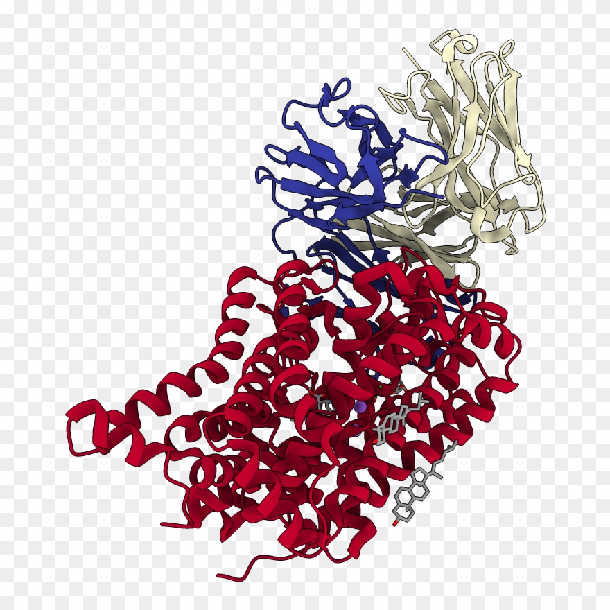 Chains Colored In Rainbow - Illustration Clipart