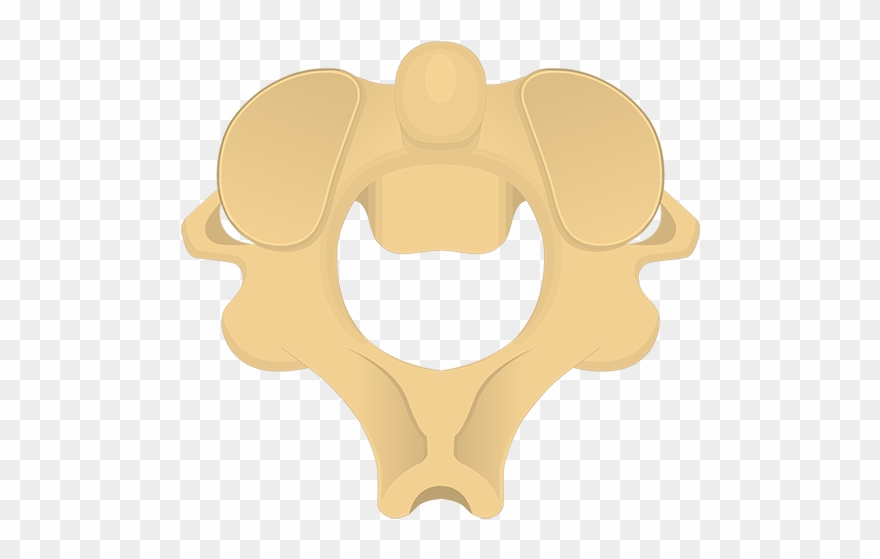 Illustration Clipart