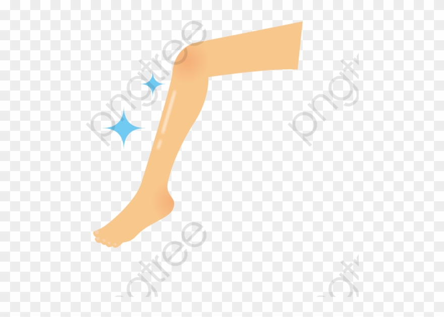 Body Parts Clipart Leg - Png Download