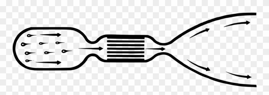 Download Similars Clipart