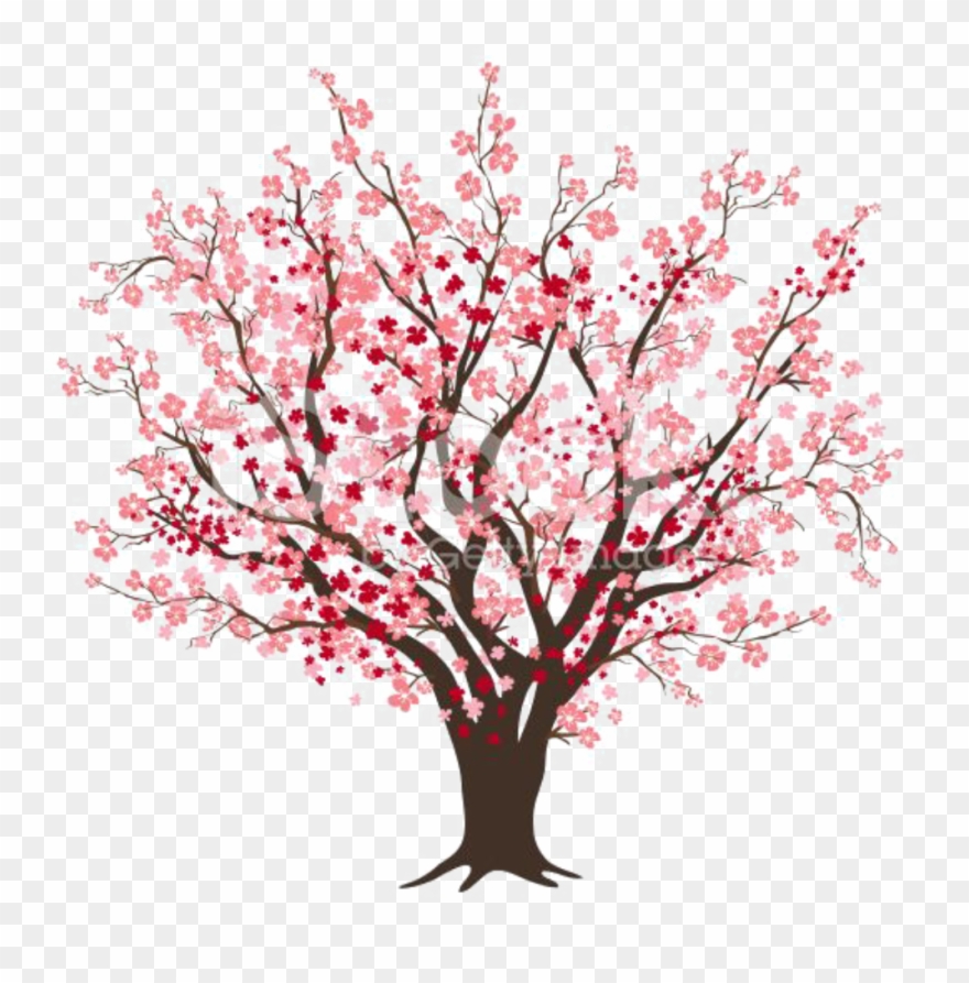 #ftestickers #clipart #cherryblossom - Cherry Blossom Tree Clipart - Png Download