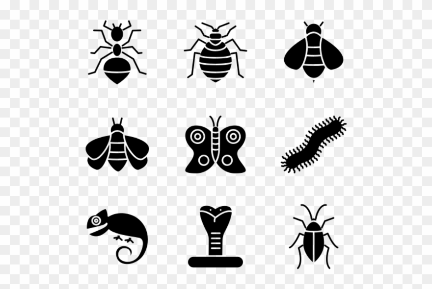 Insects Clipart