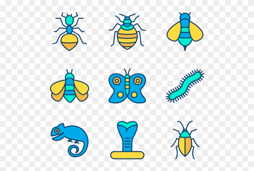 Insects Clipart