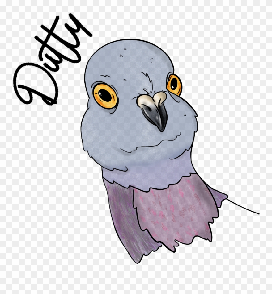 Parakeet Clipart