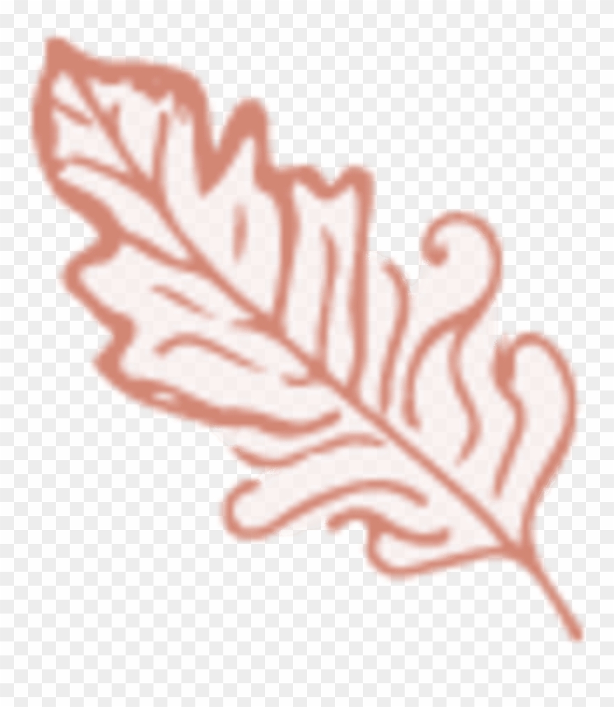 Clip Art - Png Download