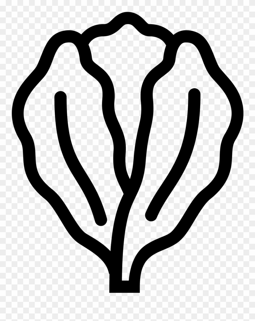 Drawing Png - Top - Icon - Lettuce Icons Png Clipart