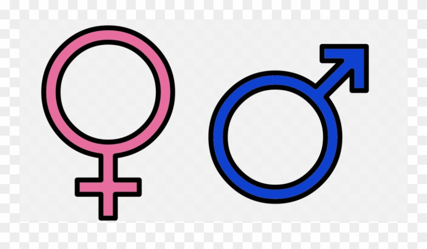 Boy Vs Girl Symbol Clipart