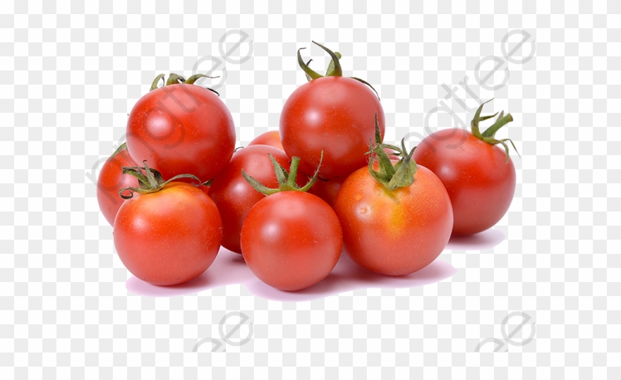 Cherry Tomato Clipart - Cherry Tomatoes Png Transparent Png