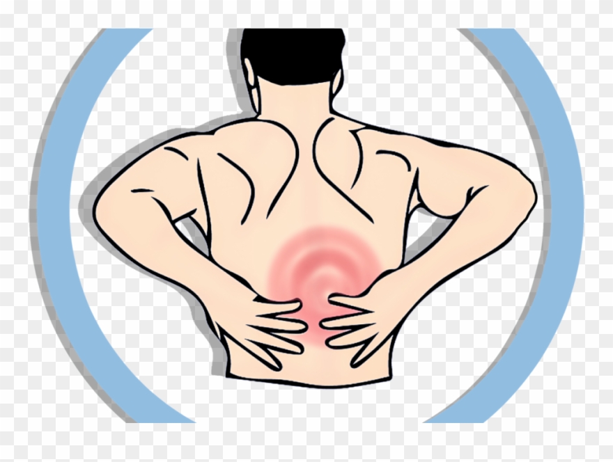 Muscular System Png - Back Pain Illustration Clipart