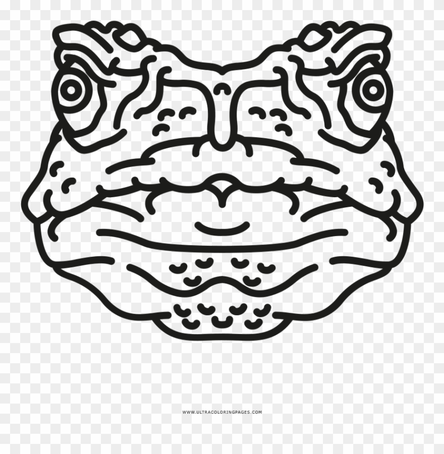 Toad Coloring Page - Sapo Para Colorear Clipart