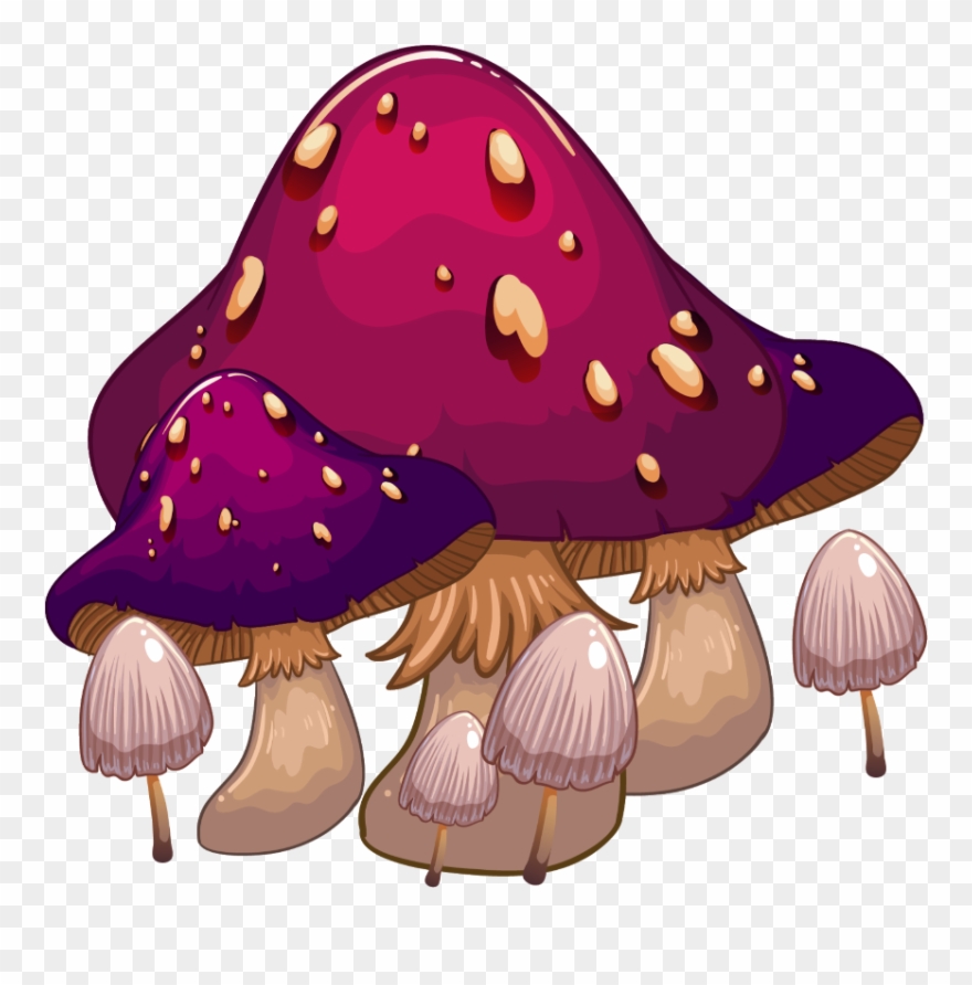 #mq #purple #mushroom #mushrooms #toads - Giant Cartoon Mushroom Clipart
