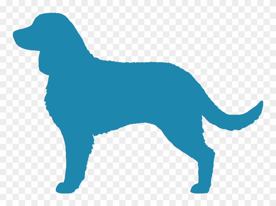 Water City Kennel - Golden Retriever Clipart