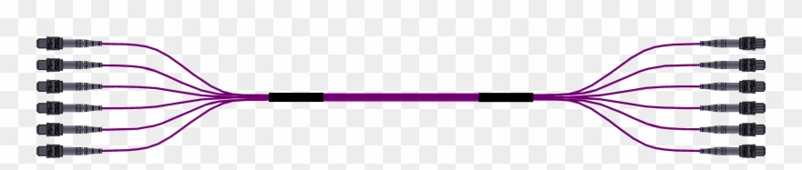 6x24mtp 144 Fiber Breakout Assembly Samm Teknoloji Clipart
