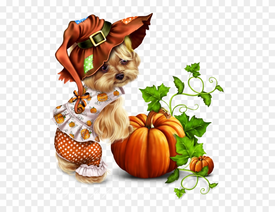 Little Pumpkin Yorkie - Yorkshire Terrier Clipart