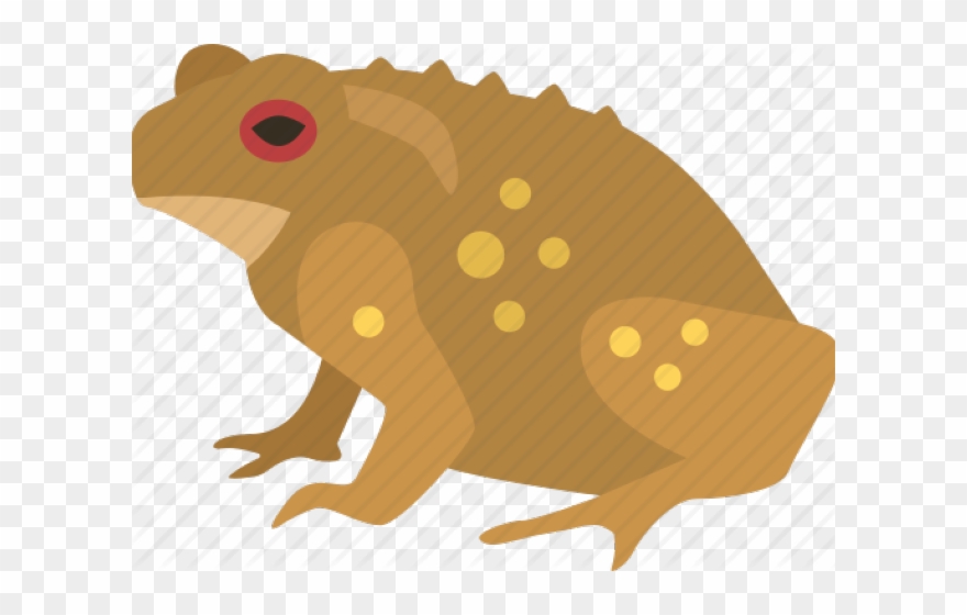 Bufo Clipart