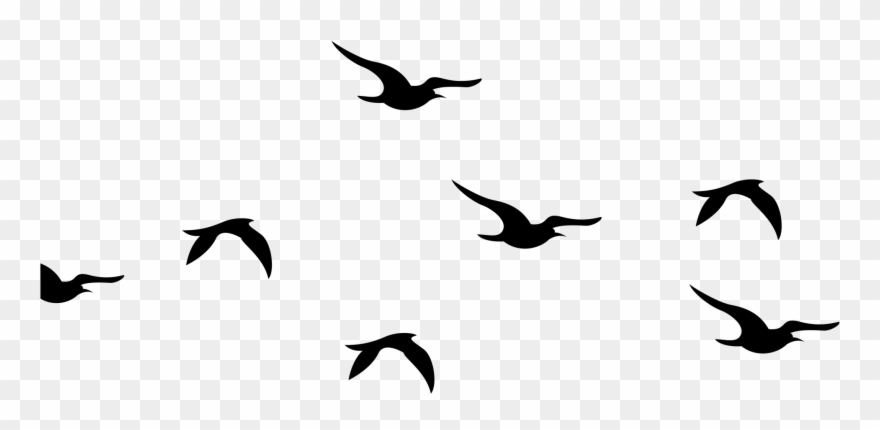 Bird Flock Png - Silhouette Birds Clipart Black And White Transparent Png