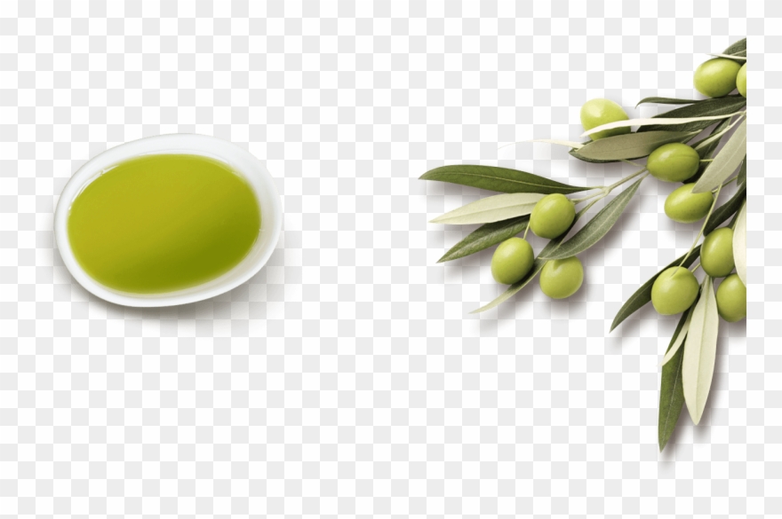 Olive Png - Olive Oil Png Clipart