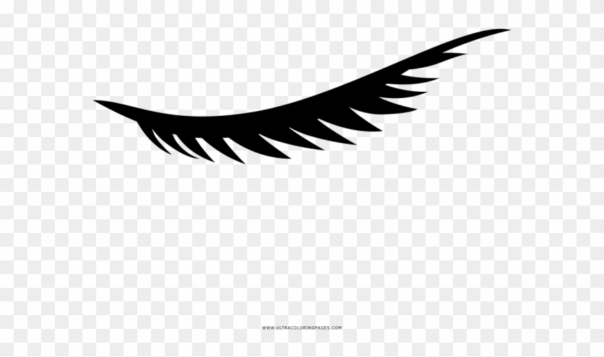 Cilios Desenho Png - Illustration Clipart