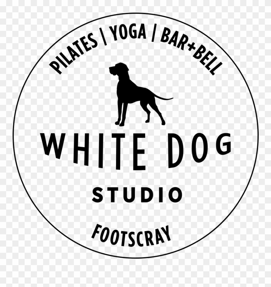Fullsize Of Black And White Dog - Bracco Italiano Clipart