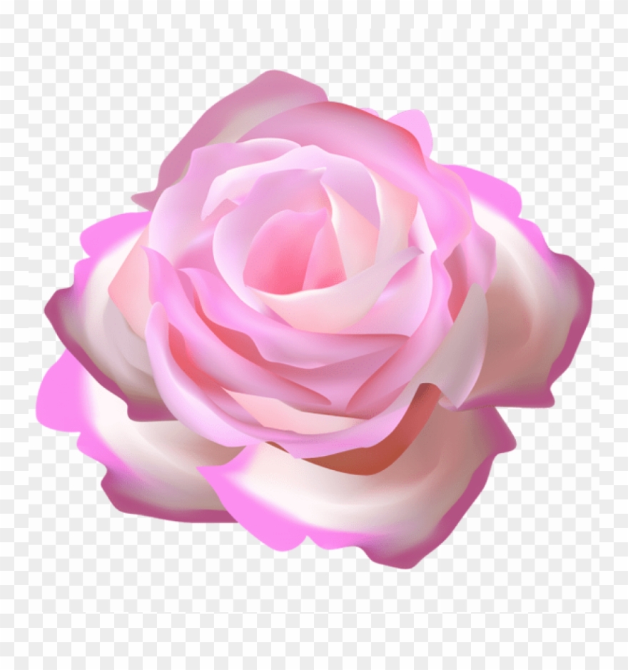 Download Pink Rose Decorative Transparent Png Images - Transparency Clipart