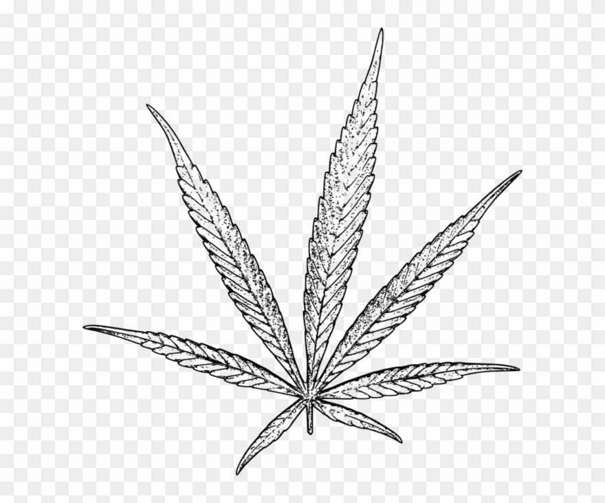 Drawn Cannabis Stoned - Weed Drawing Png Clipart