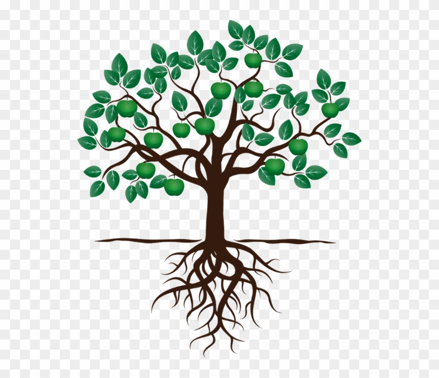 Social Work Opportunities - Drawing Of Apple Tree With Roots Clipart