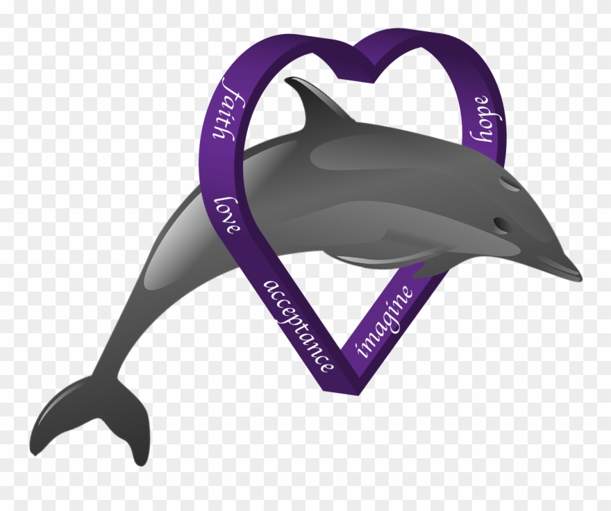Dds Vs Png Dolphin - Short-beaked Common Dolphin Clipart