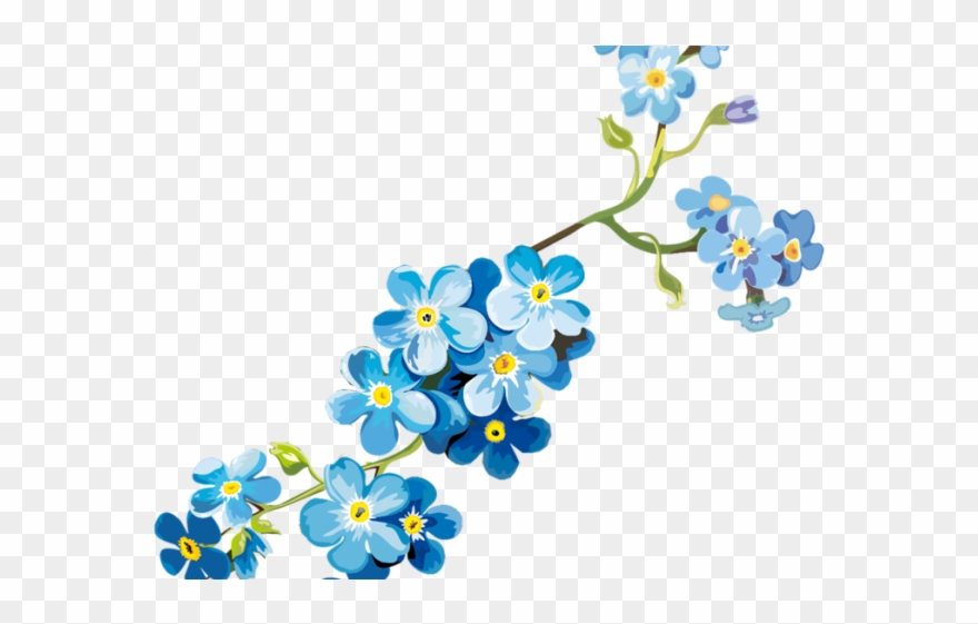 Forget Me Not Clipart Clear Background - Vergissmeinnicht Clipart - Png Download