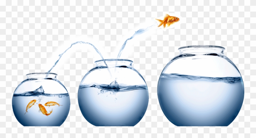 It's Easy To Treat Wealth A Bit Like Being A Koi In - Fish Jumping From One Bowl To Another Clipart