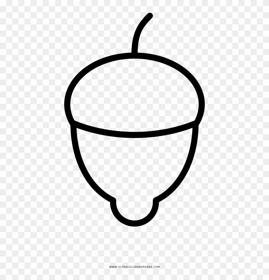 Acorn Coloring Page - Line Art Clipart