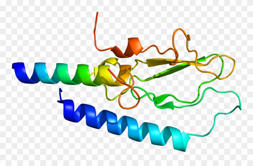 Protein Glp1r Pdb 3c59 - Glucagon-like Peptide-1 Clipart