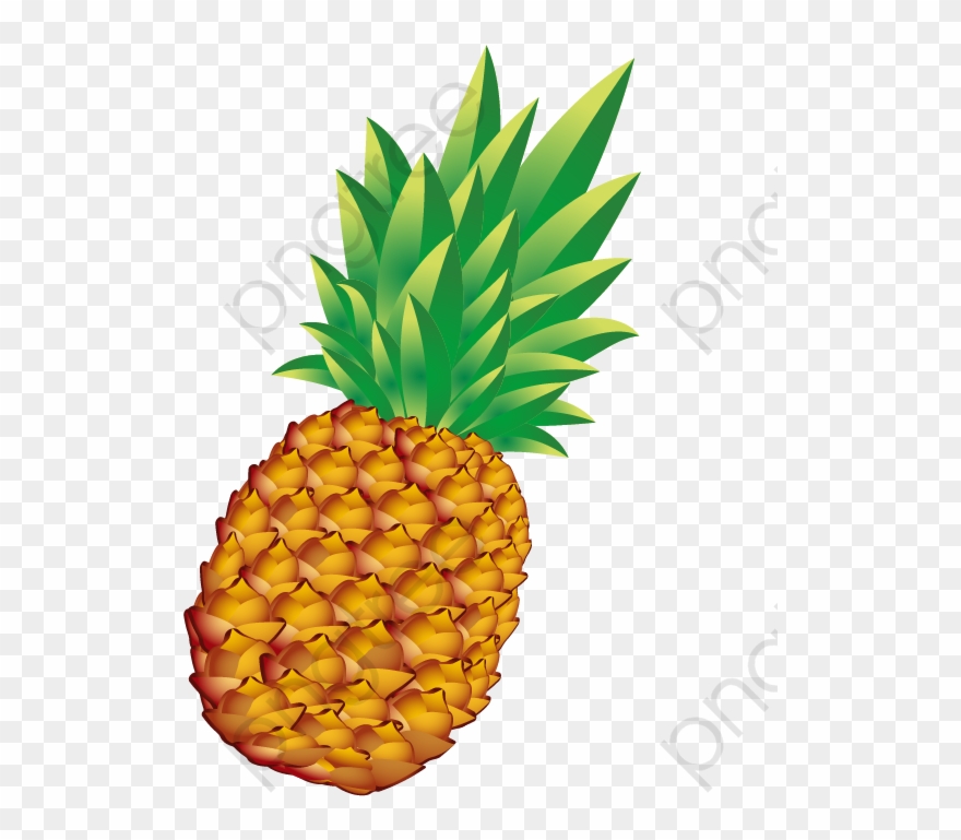 Pineapple Png Vector - Pineapple Vector Clipart