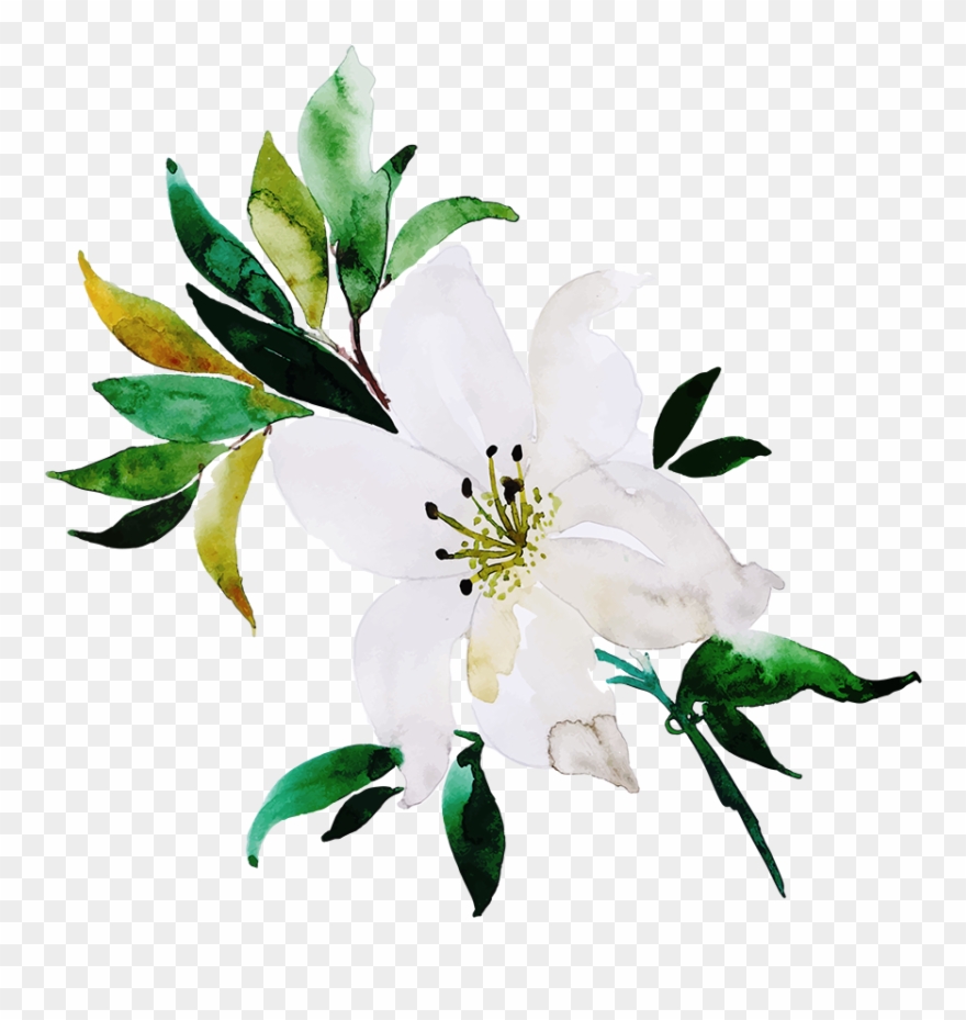 Free Png Floral Bouquets - Jasmine Clipart