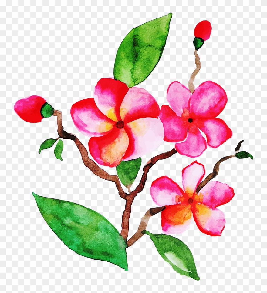 Free Png Floral Bouquets - Rosa Glauca Clipart