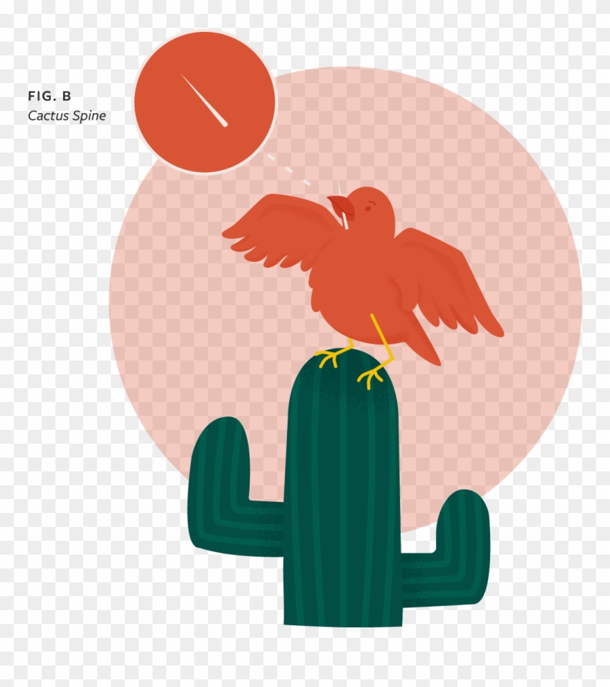 Cactus Png Tumblr - Illustration Clipart