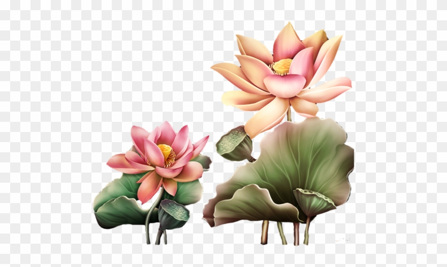 Page 64 Views Album, Yandex, Clip Art, Pictures - Tubes Transparents Lotus Pour Blog - Png Download