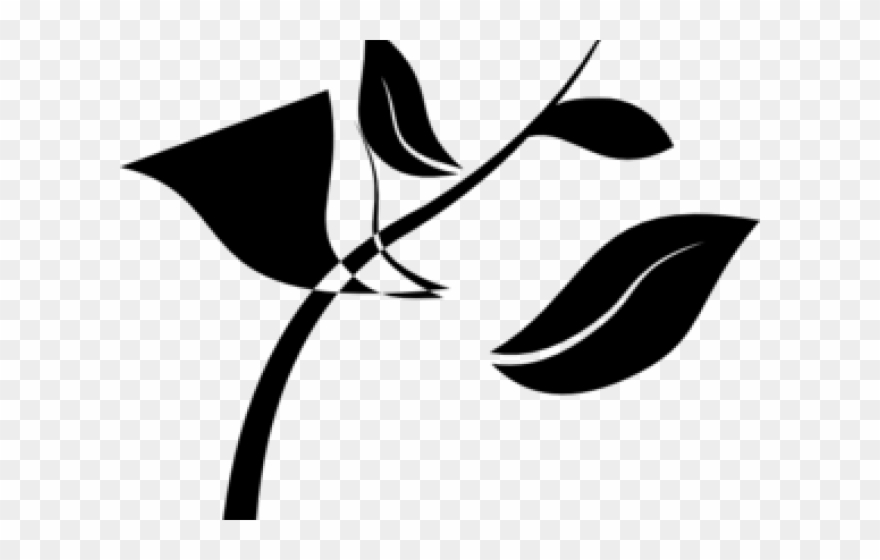Seedling Cliparts - Growing Plant Clip Art - Png Download