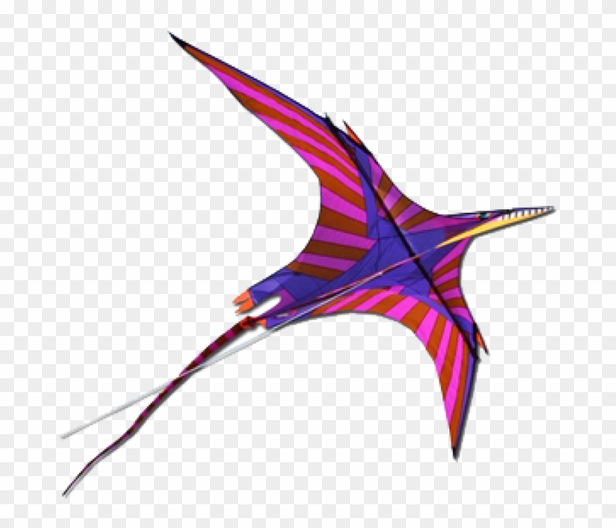 Image Of Pterosaur Kite By Into The Wind - Invertebrate Clipart