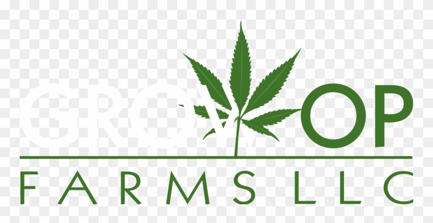 Must Be 21 Or Older Clipart