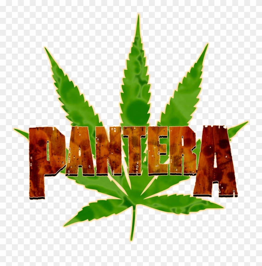 Here's A Mid 90s Logo I Had A Digital Artist Re-create - Toronto Maple Leafs Cannabis Clipart