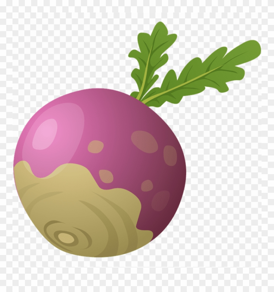 Free Png Images - Turnip Clipart Transparent Background