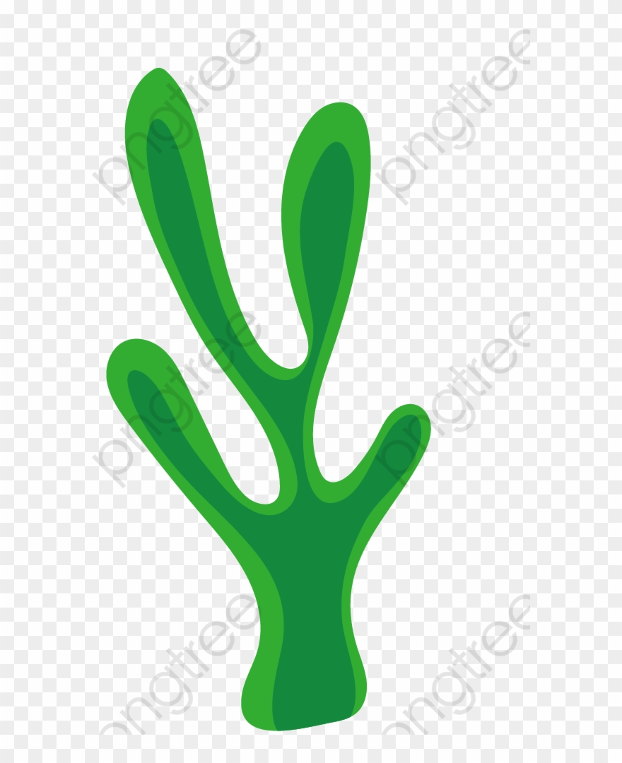 Alga Marinha Desenho Png Clipart