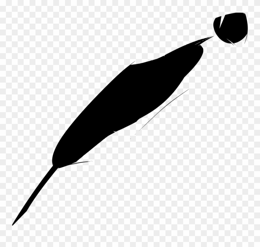 Download Png - Bird Clipart