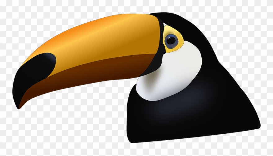 Toucan - Tucano Png Clipart